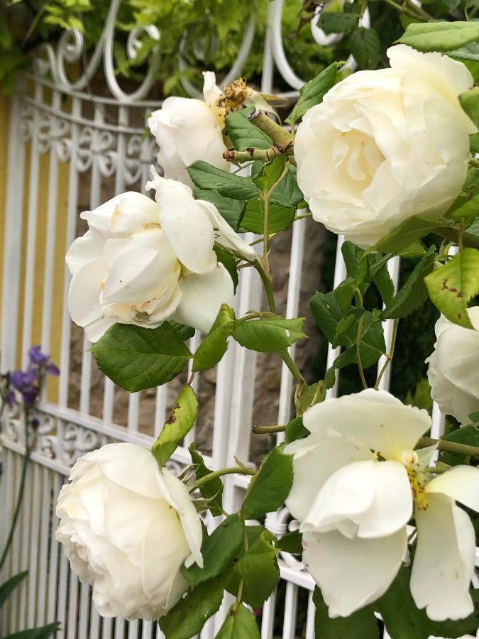Willa L'Ile Aux Fleurs Ventabren Zewnętrze zdjęcie